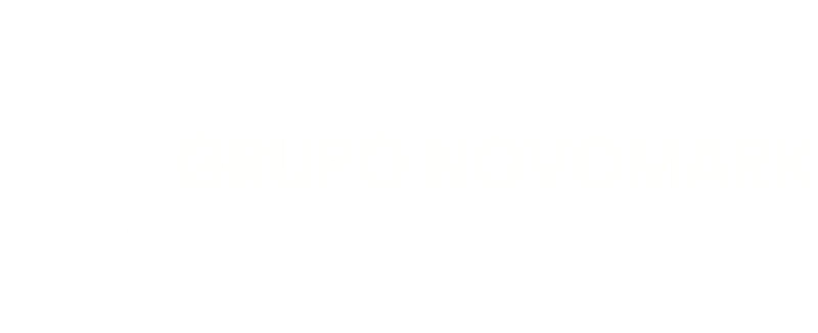 Grupo Novomark